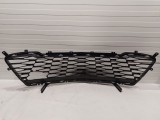 Lower Grille